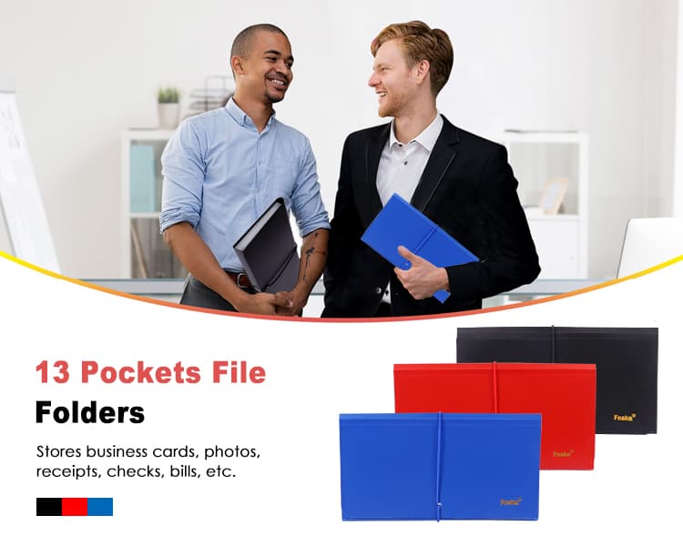 Cheque Size File Bag