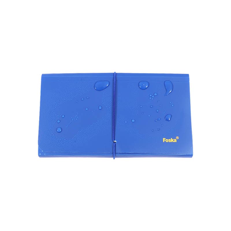 Storage Expanding File Bag