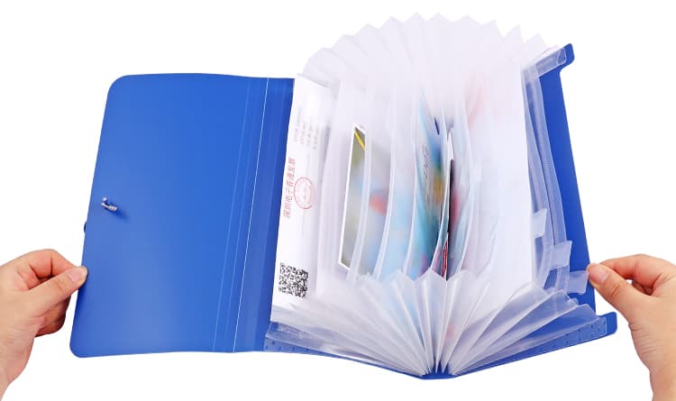 Expanding File Bag