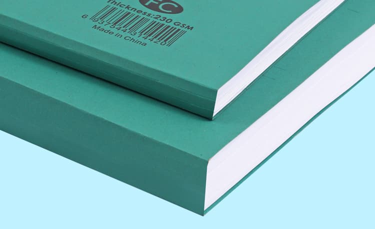 Paper Hanging File for Business