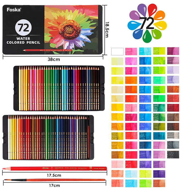 Professional Water Coloured Pencil