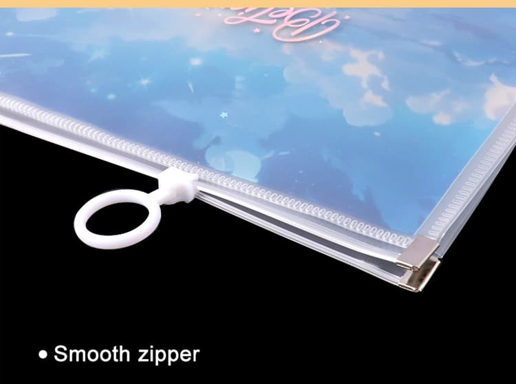 transparent document pouch